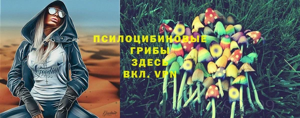 эйфоретик Алзамай