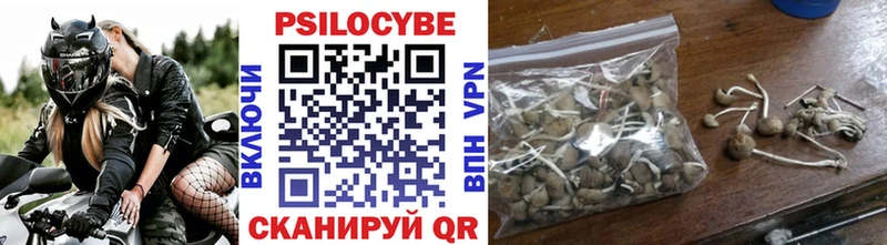 Псилоцибиновые грибы Psilocybe Черноголовка
